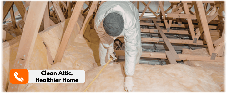 Attic Cleaning Buffalo Grove IL
