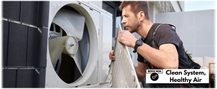HVAC Mold Removal Buffalo Grove IL
